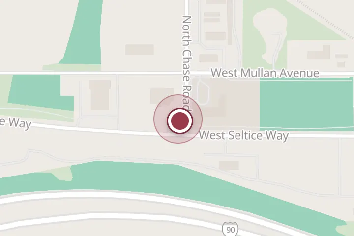 Street map around 799 W Seltice Way, Post Falls, with a pin at Buck Wild Espresso